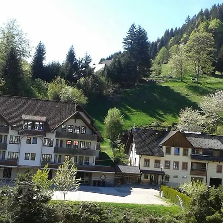 Apartmán 44 Mit Pool Todtmoos